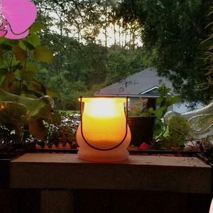 Meet your Posher, Ginn